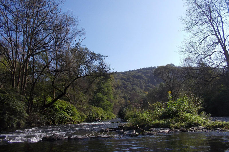 Natur pur an der Wupper